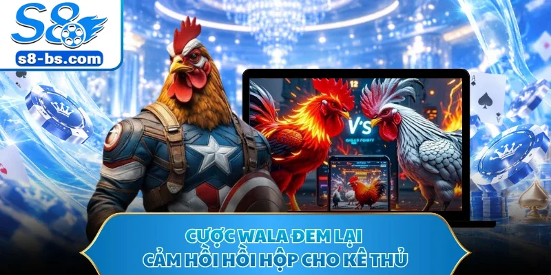 Đá Gà Cựa Sắt S8 - Trường Đấu Kê Trực Tuyến Hot 2026 3 Cược Wala đem lại cảm hồi hồi hộp cho kê thủ