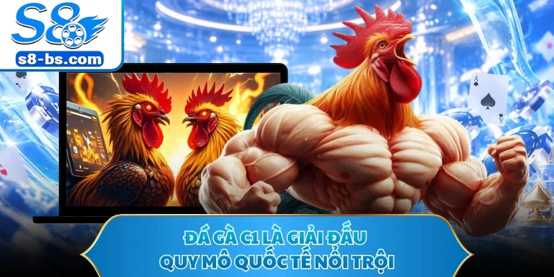Đá gà C1 là giải đấu quy mô quốc tế nổi trội