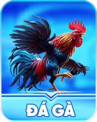 Đá gà S8