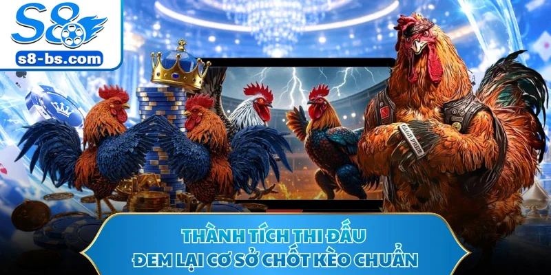 Đá Gà Cựa Dao - Nơi Hội Tụ Màn Đấu Kê Căng Thẳng S8 3 Thành tích thi đấu đem lại cơ sở chốt kèo chuẩn
