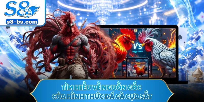 Đá Gà Cựa Sắt S8 - Trường Đấu Kê Trực Tuyến Hot 2026 1 Tìm hiểu về nguồn gốc của hình thức đá gà cựa sắt